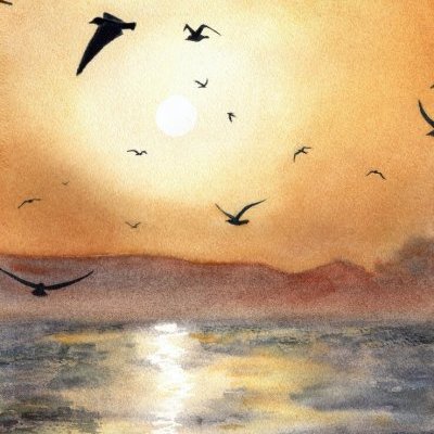3 Vols dans ciel de Feu Aquarelle Faustine